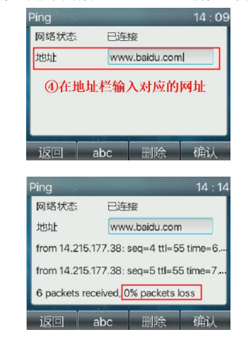 在ping中输入测试地址域名